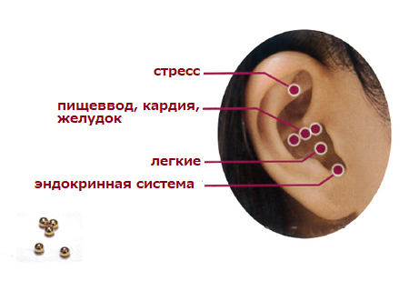 ухо точки сайт